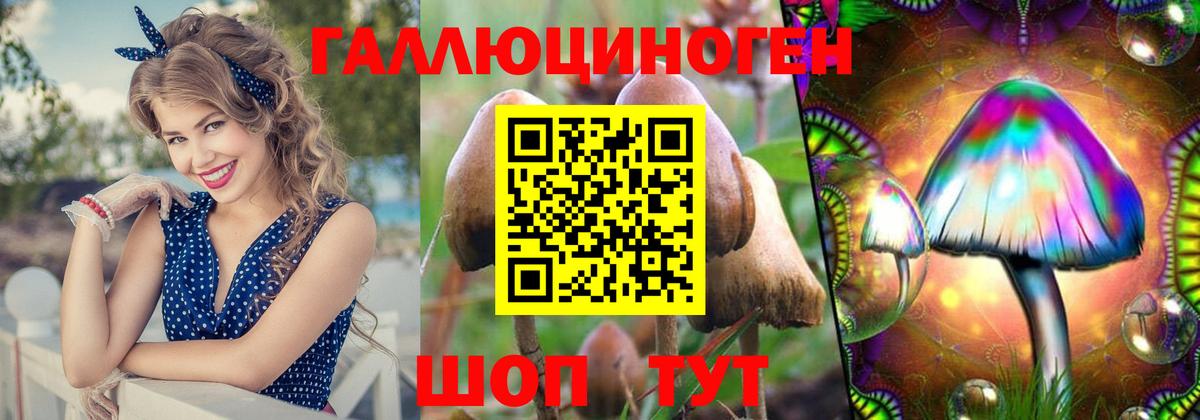 Галлюциногенные грибы Psilocybine cubensis  Псилоцибиновые грибы прущие грибы  Вход с VPN  Магнитогорск 